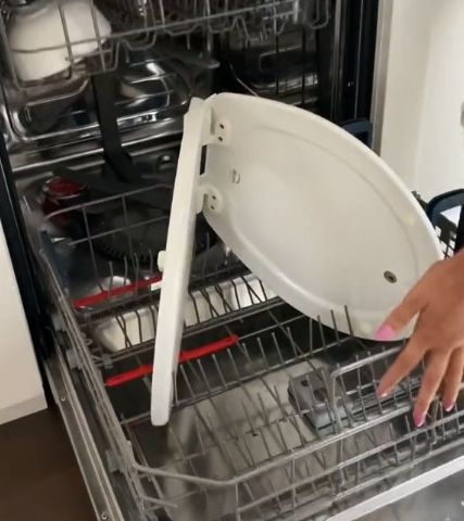 ▲▼網紅把馬桶蓋放到洗碗機洗。（圖／翻攝自instagram@janelleandkate）