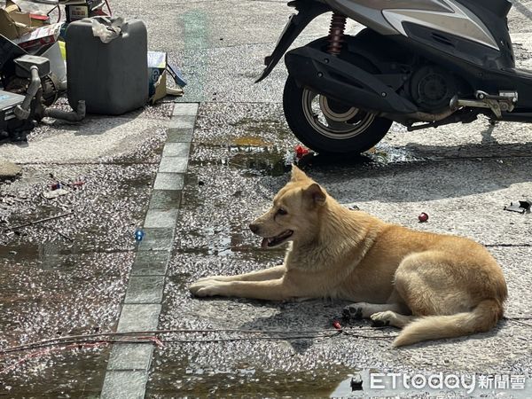 ▲▼高雄電池行火警夫妻雙亡…鄰居曝屋主超善心。（圖／記者許展溢攝）