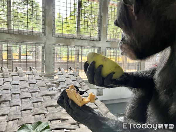 ▲▼壽山動物園中秋節             。（圖／記者陳宏瑞攝）