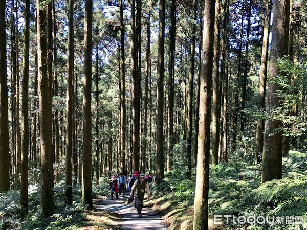 ▲梅花颱風來襲，林務局提醒民眾不要進行山區活動。（圖／林務局提供）