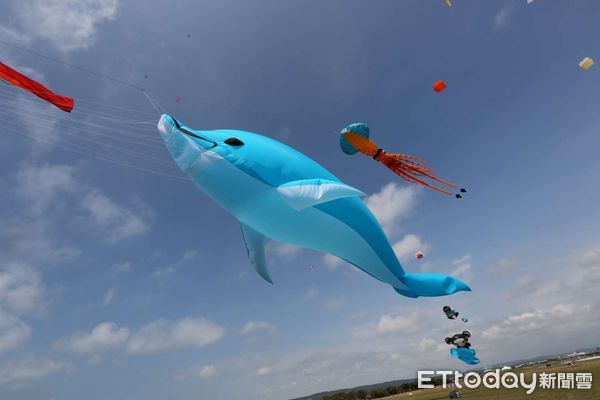 ▲2022新竹市國際風箏節　限定夜光海豚、LED遙控風箏首亮相。（圖／新竹市政府提供）