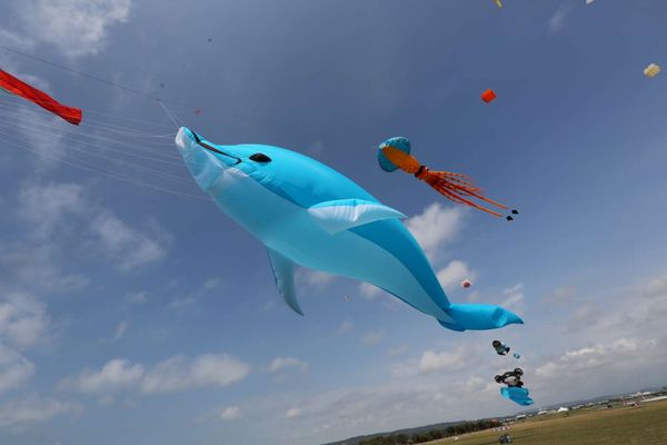 ▲2022新竹市國際風箏節9月17、18日於新竹漁港熱鬧登場 。（圖／新竹市產發處提供）