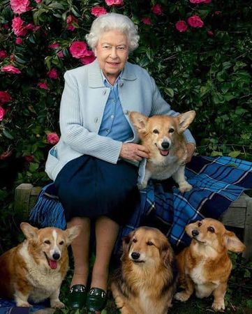 ▲▼英國女王伊莉莎白二世與柯基犬。（圖／翻攝自IG／windsor.royal.family）