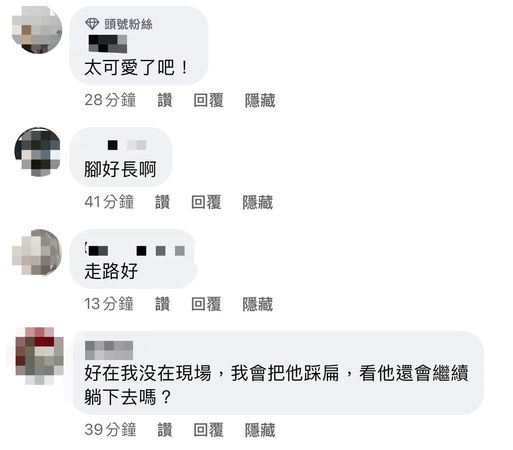 ▲歐陽靖看到惡意留言相當生氣。（圖／翻攝自FACEBOOK／GinOy 歐陽靖）