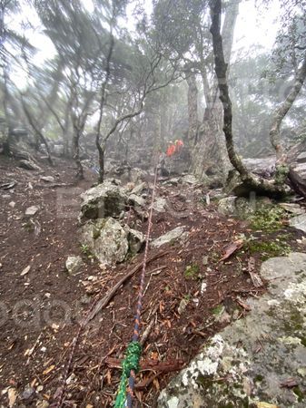 ▲▼獨／法官陳伯均登山失聯！40m河谷驚見2支登山杖　曾辦過鄭捷案。（圖／記者哈勇嘎奧翻攝）