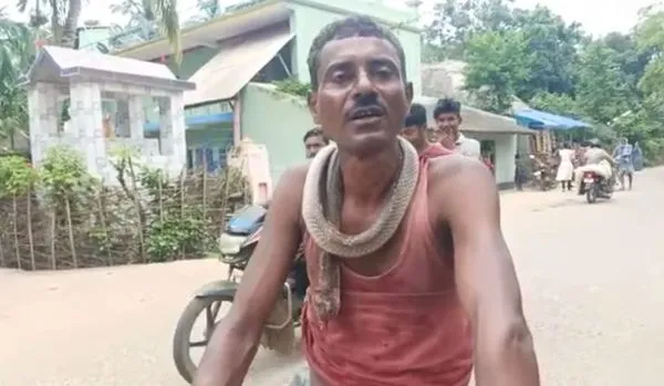 男被眼鏡蛇咬傷　他暴怒用牙「把蛇活活咬死」屍體掛脖子上遊街。（圖／翻攝自當地媒體Prameya網站）