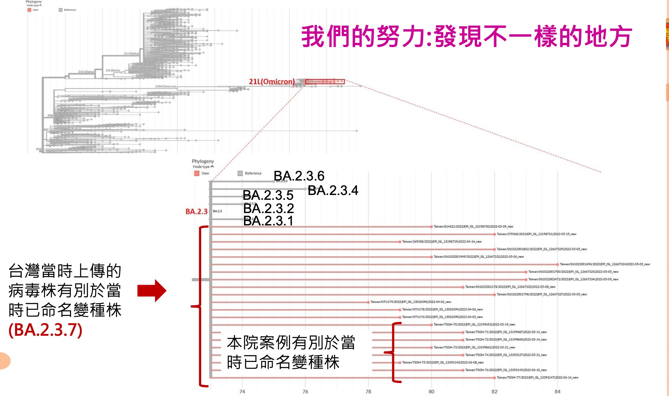 三總團隊發現兒童染疫併發腦炎關鍵原因。（圖／三總提供）