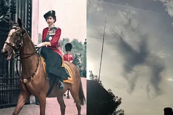 ▲▼英女王,馬術。（圖／CFP）