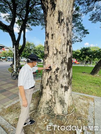 ▲梁文進勘察屏東市樹林情形             。（圖／記者陳崑福翻攝，下同）