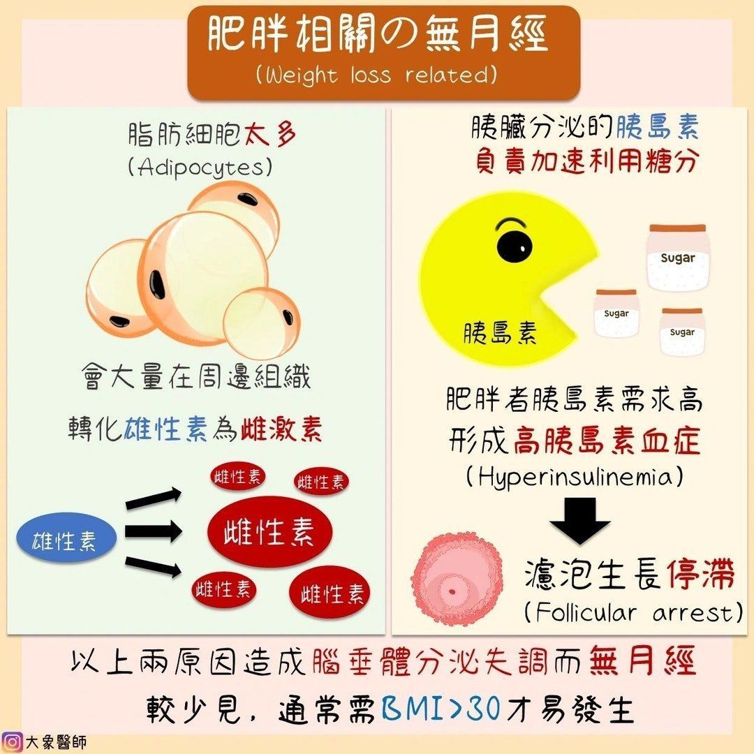 ▲無月經成因。（圖／問8線上健康諮詢）