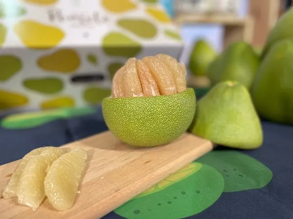 ▲▼文化總會暌違3年，再度於東京上野公園舉辦「TAIWAN PLUS」生活節，率眾多台灣品牌、音樂人赴日掀起台灣熱。（圖／文化總會）