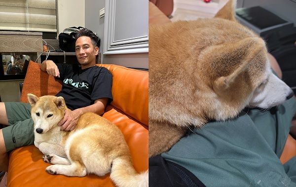 ▲▼高山峰領養柴犬2年「第一次主動饋頭」　激動PO文：歷史性的一刻。（圖／翻攝自高山峰臉書）