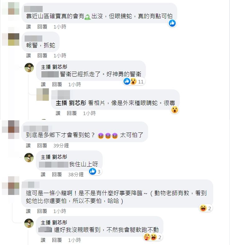 ▲▼劉芯彤社區出現眼鏡蛇。（圖／翻攝自Facebook／主播 劉芯彤）