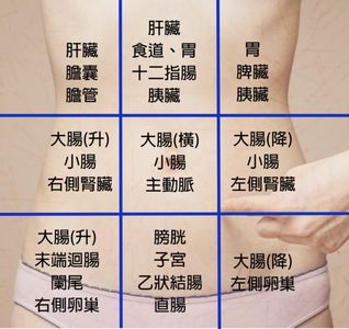 肚子痛≠胃痛！「九宮格區分法」一圖看　肚臍痛恐主動脈出事