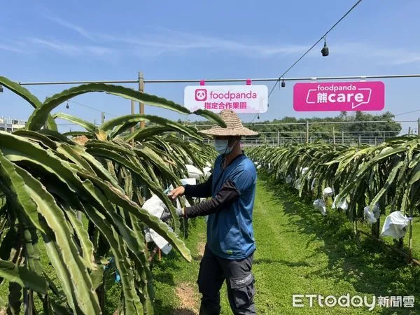 ▲▼foodpanda生鮮蔬果產地公開。（圖／記者蕭筠攝）