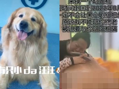 網紅拍片劇組遭控虐狗！　黃金獵犬「滿嘴泥沙滲血」當天慘死