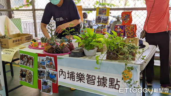 ▲安泰醫院在東港國高中舉辦樂智運動會            。（圖／記者陳崑福翻攝，下同）