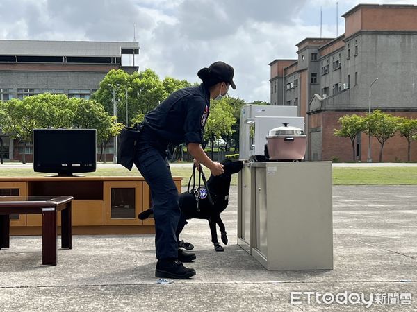 ▲▼憲指部20日展現緝毒犬搜索、查緝能力。（圖／記者蘇晏男攝）