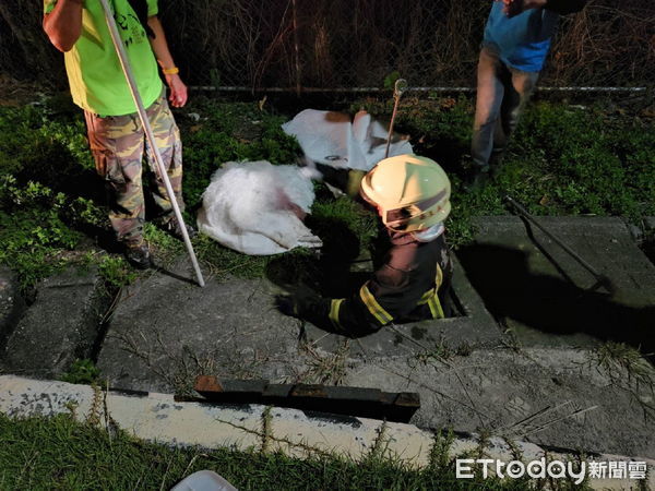 ▲台糖中興加油站油品外洩。（圖／記者楊漢聲翻攝）