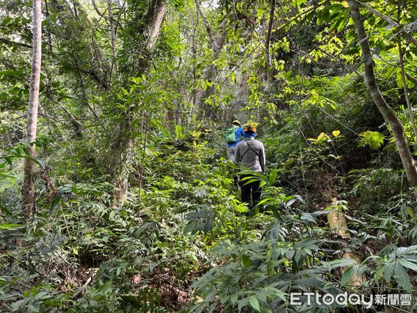 ▲何男上山採藥迷路失蹤，警消上山搜索，今日早上何男已自行平安下山。（圖／記者楊漢聲翻攝）