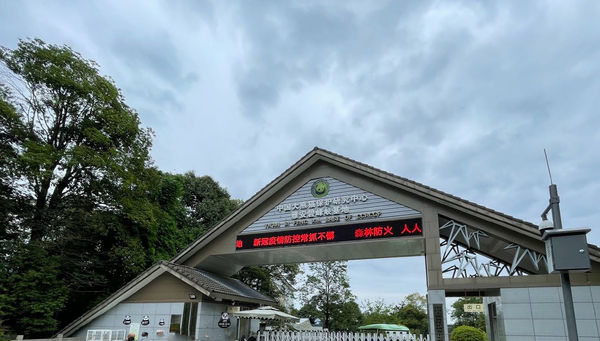 ▲▼ 雅安碧峰峽熊貓基地            。（圖／翻攝 碧峰峽）