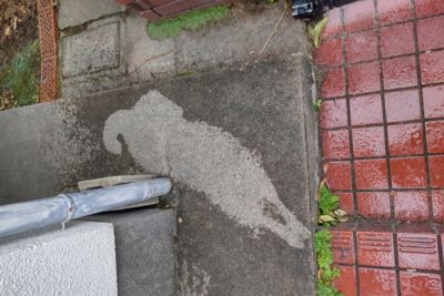 毛孩也懂隱身術!奴才曬「原裝狗拓照」引轟動 20萬網友都看傻