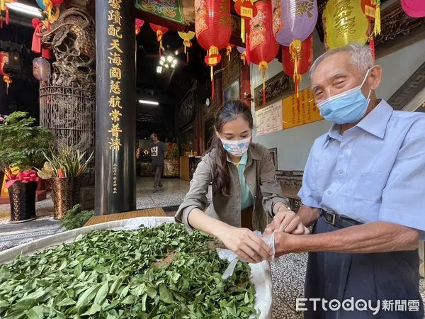 ▲台南市文化局敦請地方信仰中心天后宮玉二聖母監製，邀請曾經在水道服務的老員工及社區耆老，手工捻製茶青後，再以在地的鳳梨一起焙製百年紀念茶，紀念這特殊時刻。（圖／記者林悅翻攝，下同）