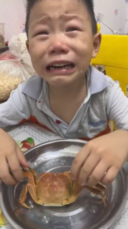 ▲爸爸要求孩子將寵物蟹吃下肚，小男孩忍不住大哭。（圖／翻攝自抖音／大雁往北飞）