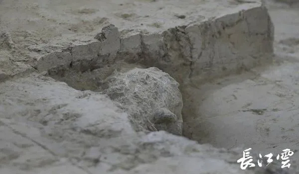 ▲「鄖縣人」3號頭骨化石被發掘出來。（圖／翻攝湖北長江雲）