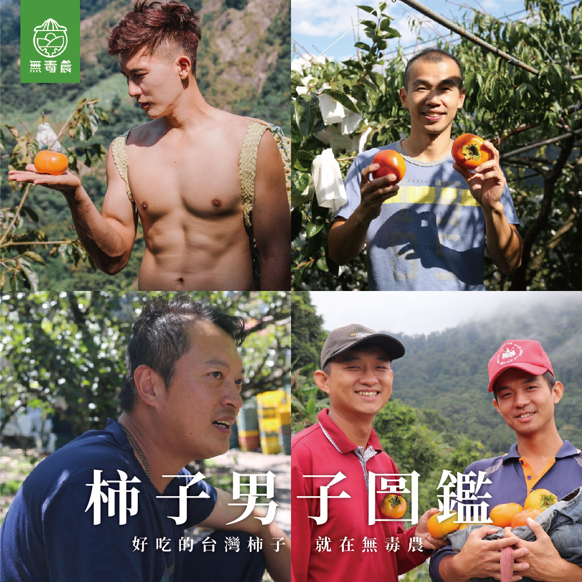 ▲無毒農製作「柿子男子圖鑑」行銷台灣柿子。（圖／翻攝自Facebook／無毒農）