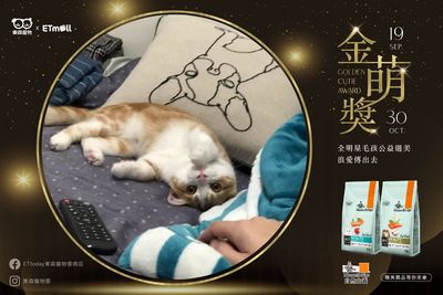 家裡出現「軟爛海豹、白眼殭屍」超傻眼!來看金萌獎10張爆笑睡姿