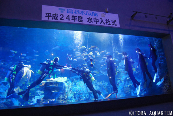 日本水族館 水中入社式 穿西裝潛水領任用書 Ettoday新奇新聞 Ettoday新聞雲