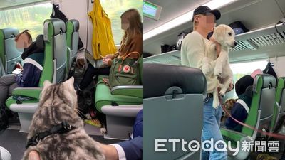 芬蘭火車「寵物車廂」集結各種動物　網羨慕炸：台灣何時能有？