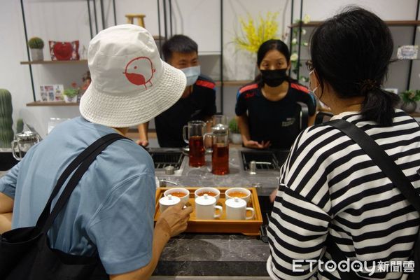 ▲南投林管處和茶改場首度公開林下經濟新品項「台灣原生山茶（眉原山品系）」。（圖／南投林管處提供）