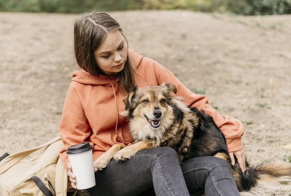▲飼主想出借愛犬當玩伴，以換取免費照顧。（示意圖／達志影像／Shutterstock）