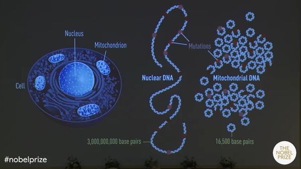 ▲▼諾貝爾生理學與醫學獎得主帕博在已滅絕的人類基因組和人類進化方面有特別發現。（圖／翻攝自推特）