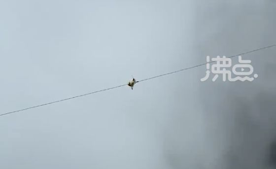 ▲一名孫悟空扮相的特技人員在廣西北帝山景區的山谷間表演高空鋼索絕技。（圖／翻攝沸點視頻）