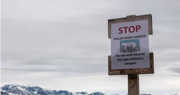 北極熊警告標誌。（圖／達志／美聯社）
