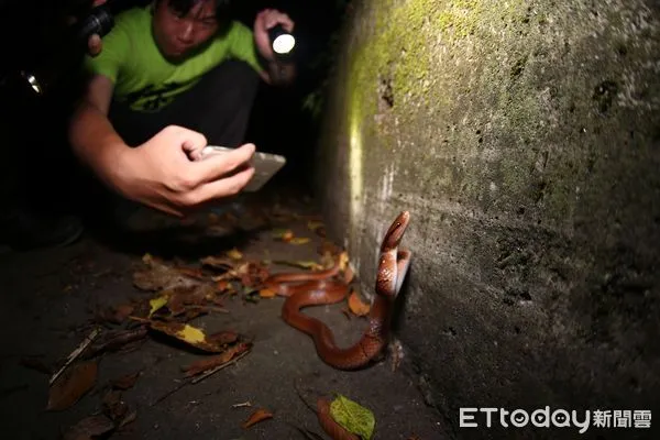 ▲特生中心今舉行記者會公布生物多樣性資料庫建置成果。（圖／記者楊惠琪攝）