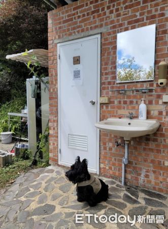 ▲「我家棉花糖會動」飼主曬家中超狂寵物　還有軟爛路霸不給過。（圖／寵物雲網友提供，請勿隨意翻拍，以免侵權。）