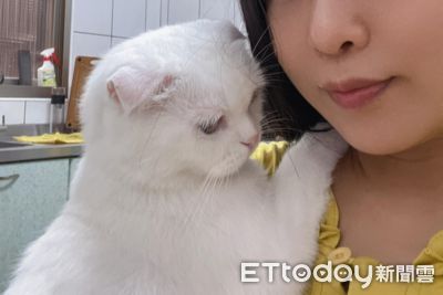每天都要抱+摸!中途貓「垂眼貼肩」 撥大腿討抱萌暈網:是媽寶