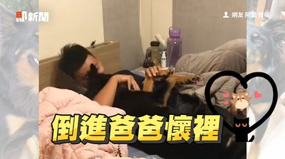 影/爸喊睡覺!巨汪慵懶式後倒 相擁放閃媽成局外人