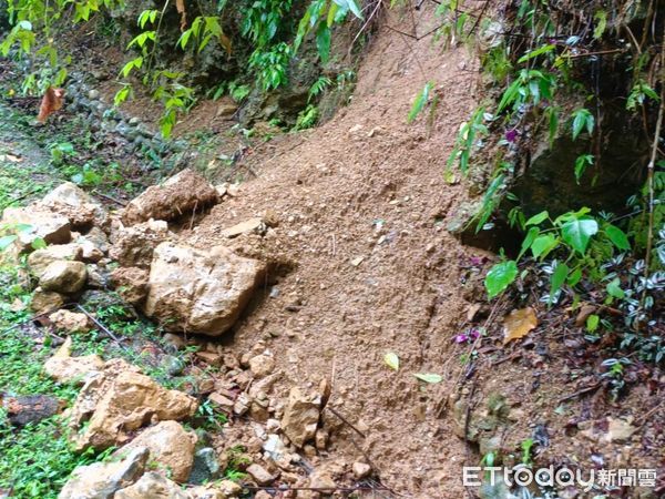 ▲▼豪大雨已造成山區步道、山徑有樹倒及落石情形。（圖／記者王兆麟翻攝，下同）