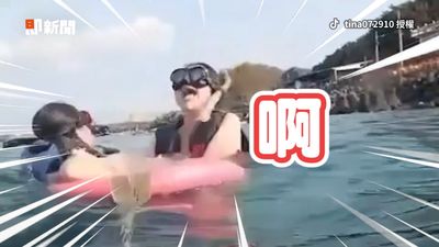 影/浮潛遇熱情海龜 妹子怕被咬狂慘叫還腳掛泳圈