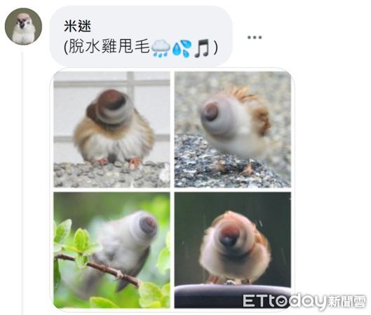 ▲林務局徵求拍失敗的NG鳥照片，獲得熱烈迴響。（圖／翻攝自Facebook／林務局）