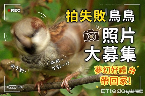 ▲林務局徵求拍失敗的NG鳥照片</a>，<a href='http://www.dcview.com/'>獲得熱烈迴響。（圖／翻攝自Facebook／林務局）