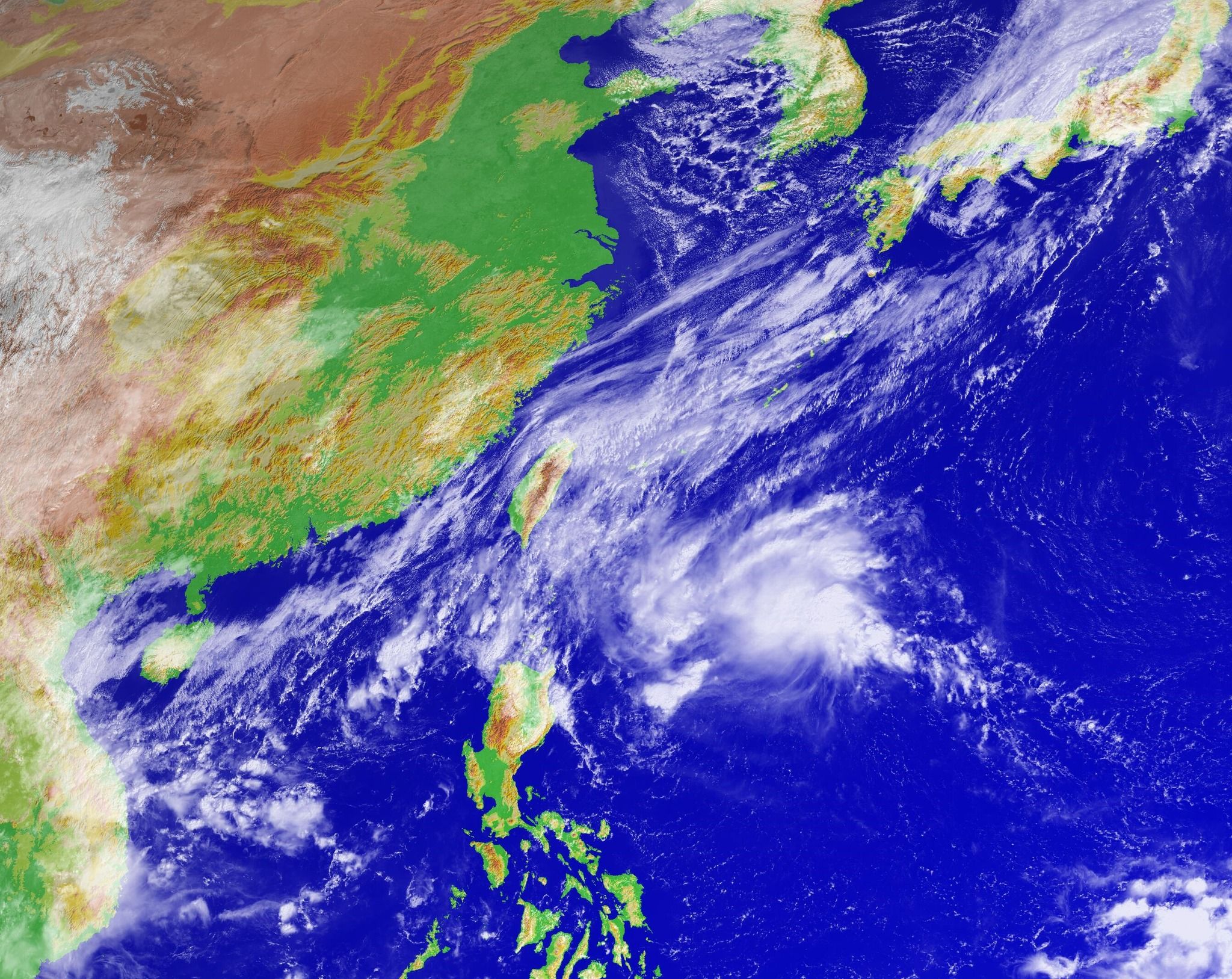 ▲97W將於週末靠近，北、東降雨機率高。（圖／翻攝自Facebook／台灣颱風論壇｜天氣特急）