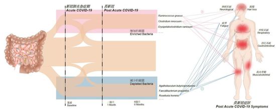 ▲香港中文大學醫學院院長、腸道微生物腸道微生物群研究中心主任陳家亮,長新冠。（圖／翻攝深圳衛視）