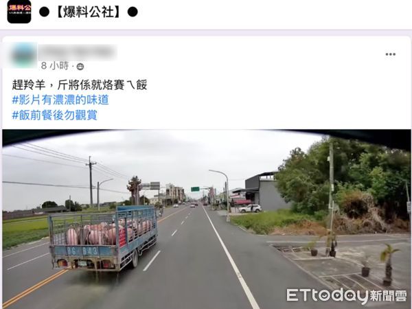 ▲ 運豬車行經雲林虎尾鎮疑似要前往雲林縣肉品市場，卻沿路溢流豬隻排泄物，造成惡臭環計污染。（圖／記者蔡佩旻翻攝）