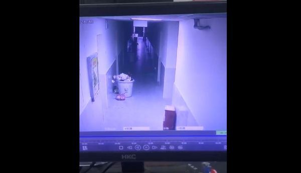 ▲▼             。（圖／翻攝自微博）